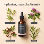 DRENAJE LINFÁTICO