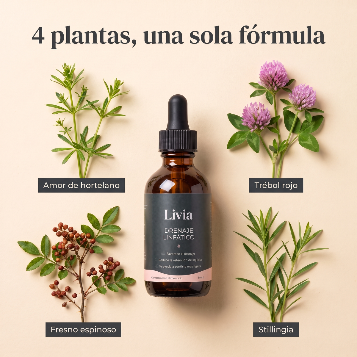 DRENAJE LINFÁTICO